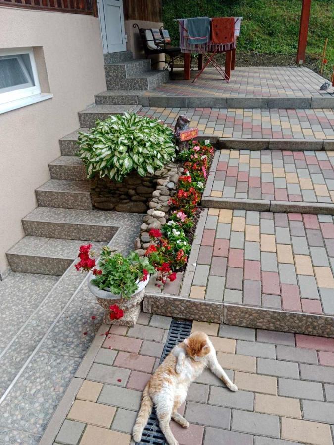 Cottage house Podobovets Dış mekan fotoğraf
