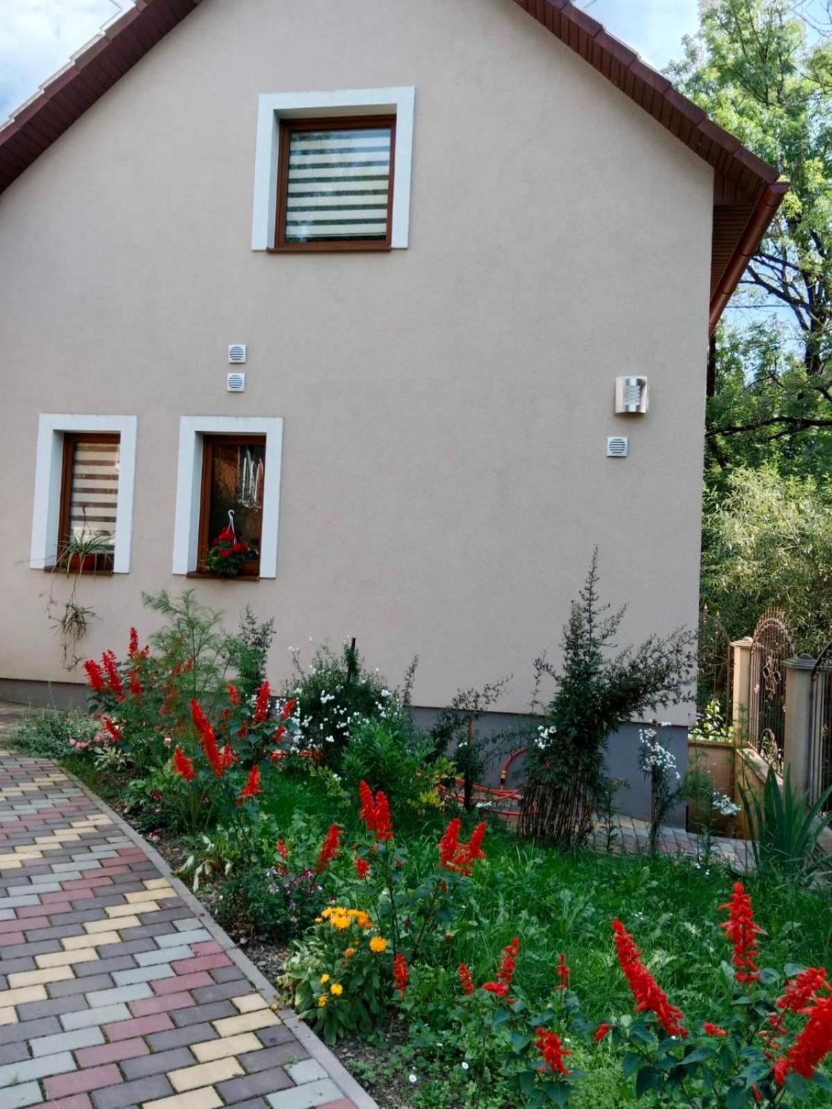 Cottage house Podobovets Dış mekan fotoğraf